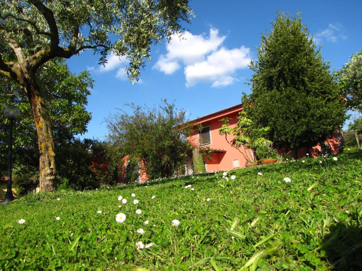 B&B Ai Glicini - Castelli Romani Marino Exterior foto
